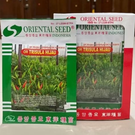 

CABE RAWIT OR TRISULA HIJAU