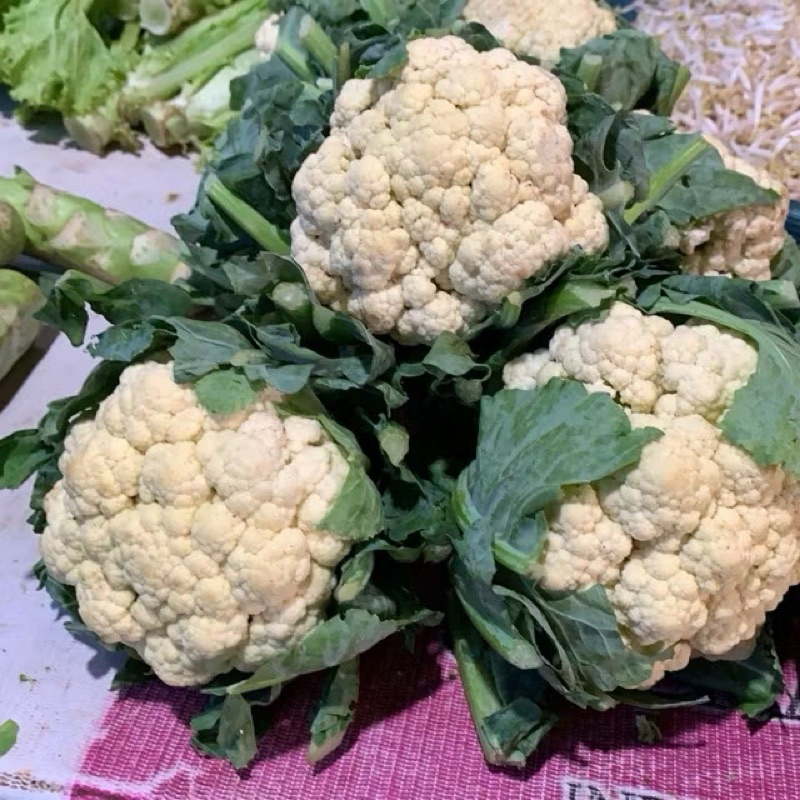 

kembang kol 500g