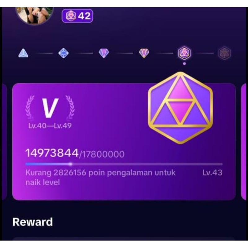 Akun Tiktok Level 42 Pay indo