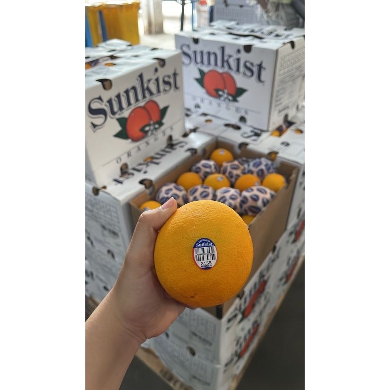 

Jeruk Navel- Jeruk Sunkis- Jeruk Valencia- Jeruk Peras- Jeruk orange Import- Jeruk navel 1kg