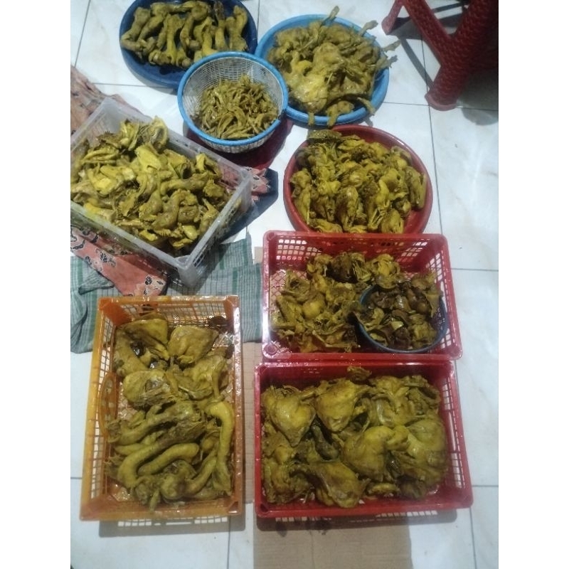 

Bebek ungkep mubarok berat 1,2 kg