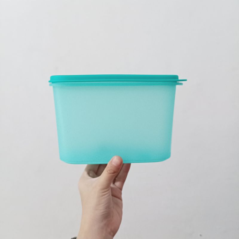 Smart Saver Oval 2 Tupperware - Tosca