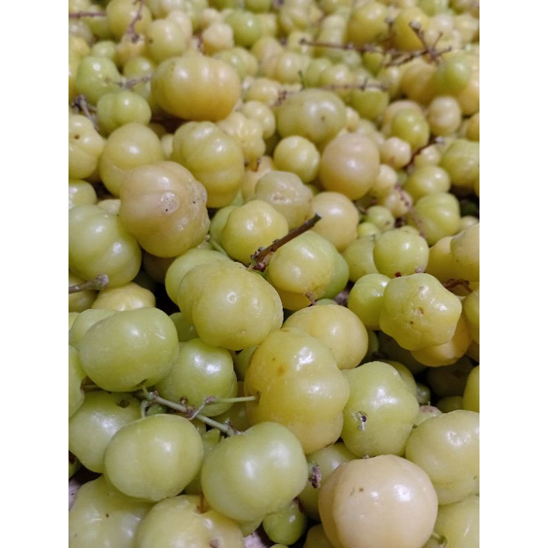 

buah ceremai/careme 1kg