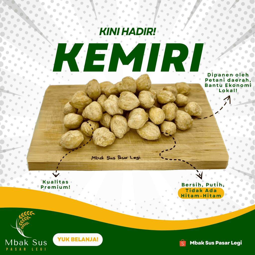 

Kemiri Bulat Utuh - Kualitas Ekspor Raw Whole Candlenut Biji Kemiri Segar Panen Baru Rempah Tradisional Khas Nusantara Bahan Baku Minyak dan Bumbu Dapur Kemiri Mentah Asli Biji Putih Tidak Hitam