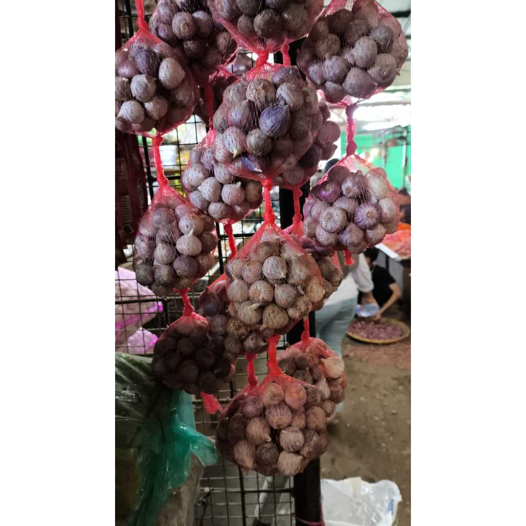 

Bawang Tunggal / bawang lanang untuk keluarga sehat