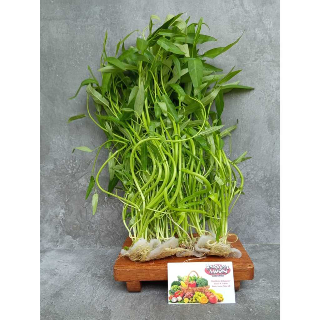 

HarvestMoon Hidroponik Kangkung @250gr