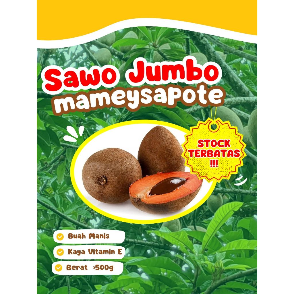 

TER-ENAK !! Mamey Sapote Di Sekitar Saya