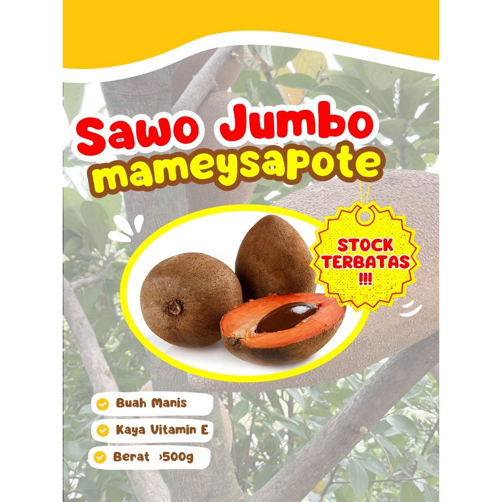 

BUAH LANGKA !! Mamey Sapote Mexico