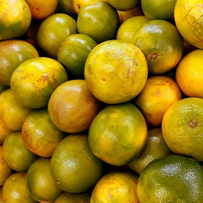 

Custom Cold Pressed Juice Jeruk Murni 50ml