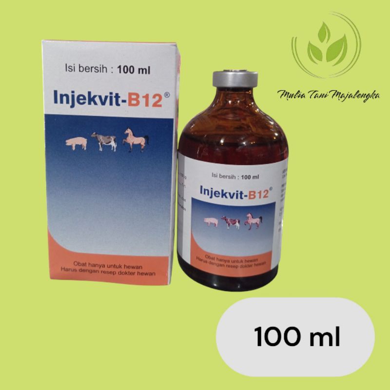 Vitamin Injekvit B12 Untuk Ayam Aduan