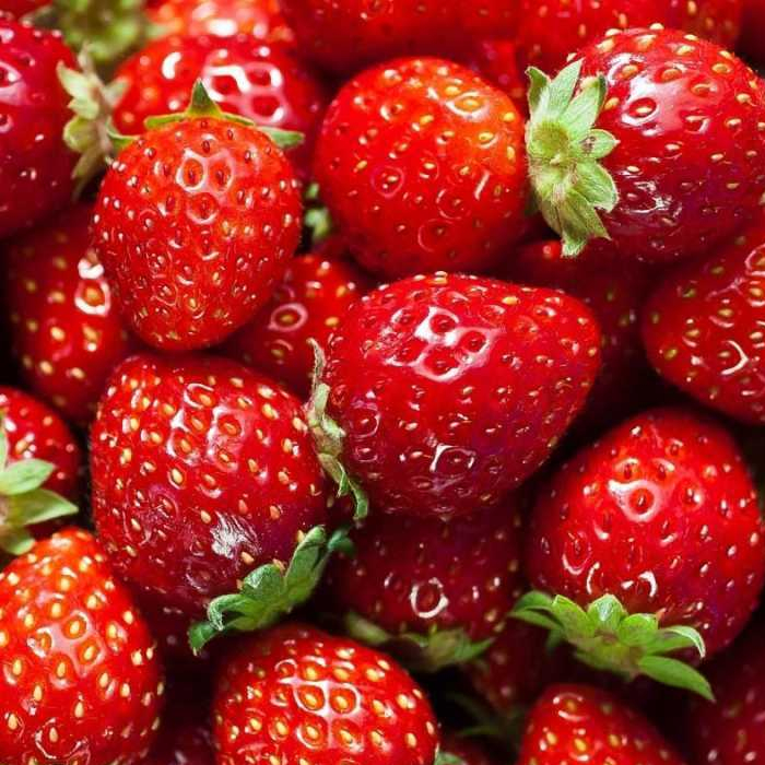 

Cold Pressed Juice Strawberry Murni 500ml