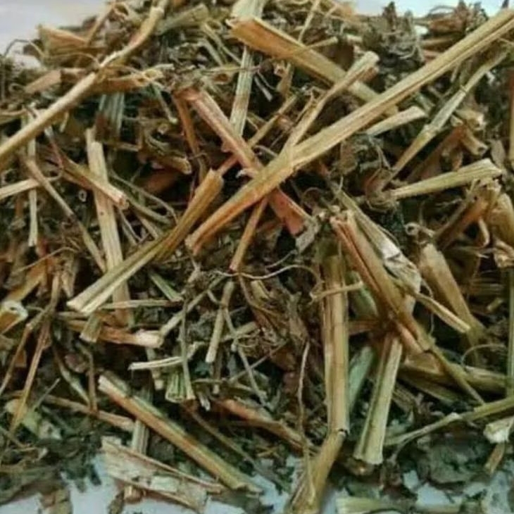 

Daun Batang Ciplukan Cacah Kering 250 Gram