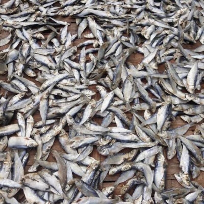 

ikan asin tanjan tembang sedang 250 gram