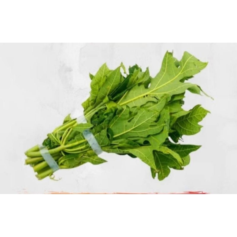 

Daun pepaya segar/ godong kates / sayur daun pepaya / daun pepaya mentah / daun pepaya ikat