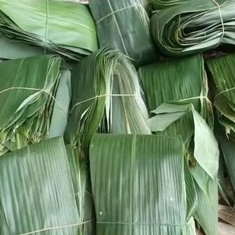 

Daun bambu super . fres . 100 lembar