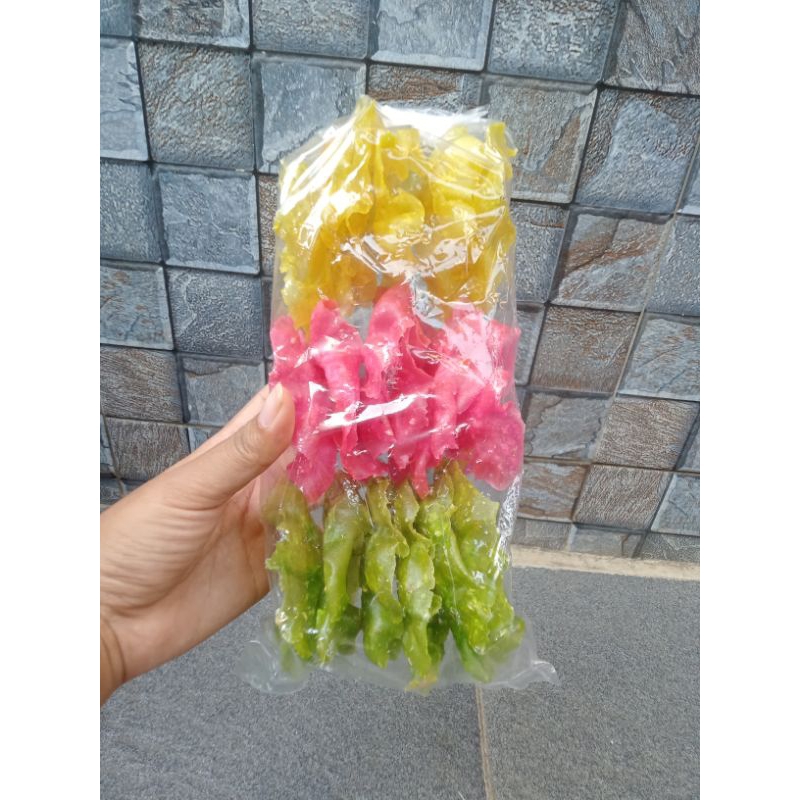 

Dapros Kembang Rose Khas Bogor