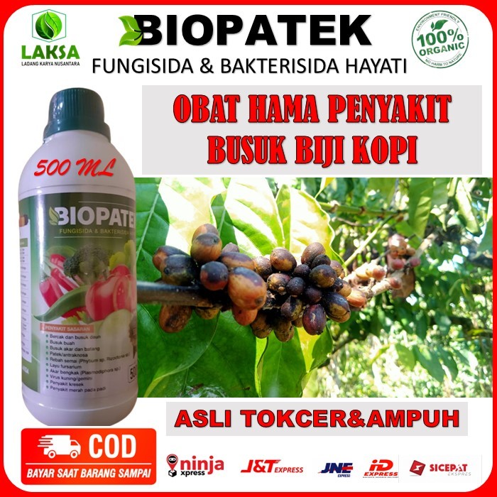 BIOPATEK Fungisida & Bakterisida Hayati Mengatasi Busuk Biji Kopi - Pupuk Organik Biopatek mencegah 