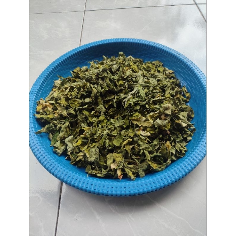 

daun katuk kering daun katu kering