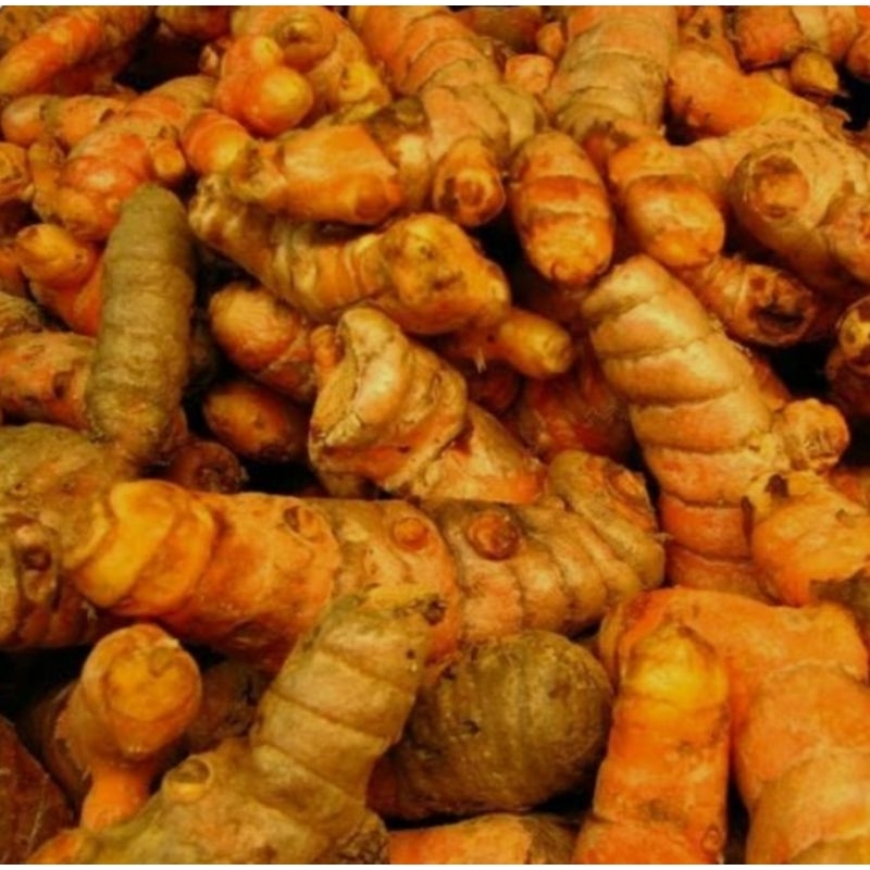 

Kunyit/kunir kuning / 1kg