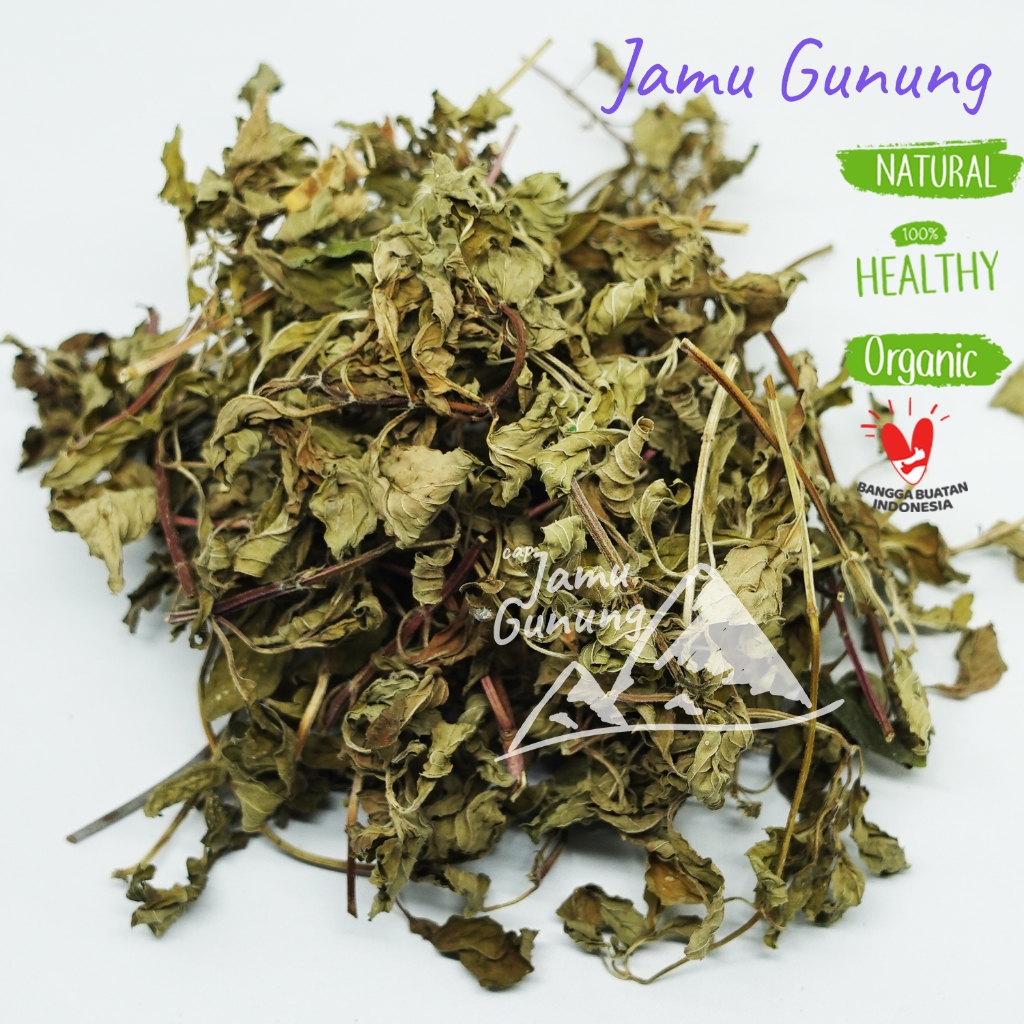 

Daun Stevia Kering 50gr Asli Kebun Grade A Organik