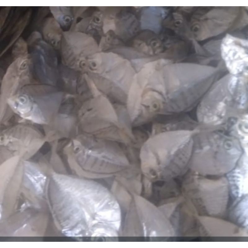 

Ikan kering petek 500gr