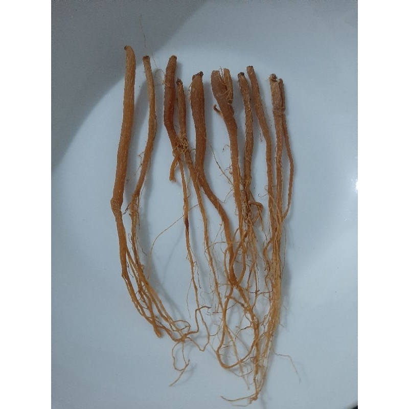 

Akar ginseng merah korea 100% Asli 10 gram