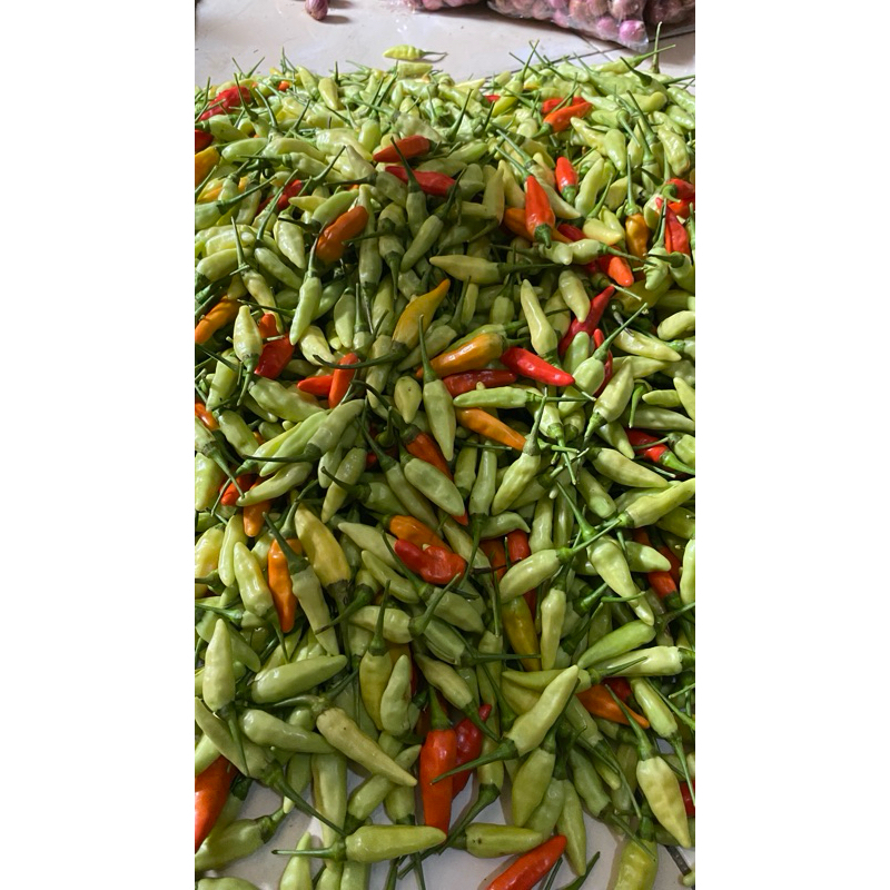 

cabe rawit(250gram)