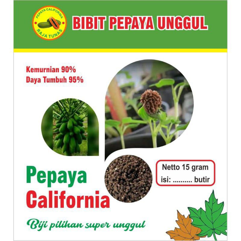 bibit pepaya California madu  isi 500 biji