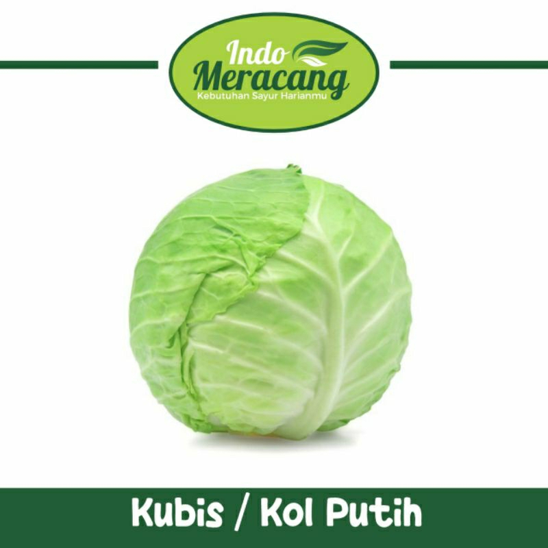 

KUBIS KOL PUTIH GUBIS BOBES 500 GRAM