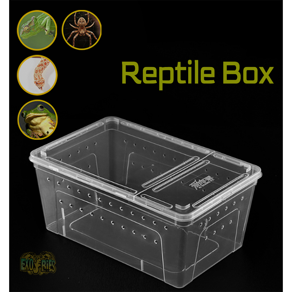 Box Reptil Box Salamander Kandang Kura Kandang Tarantula Box Serangga Kandang Reptil Box Pacman Frog
