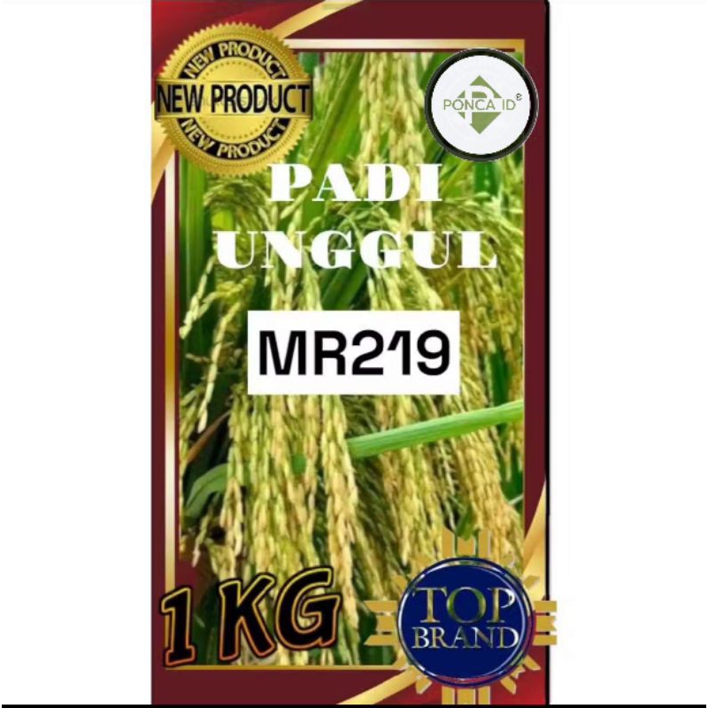 benih padi mr 219 1kg