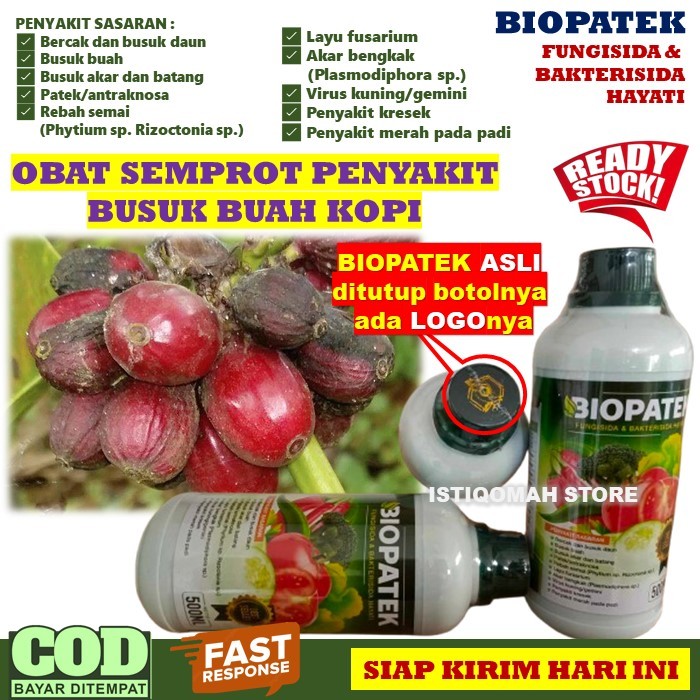 Obat Busuk Buah Kopi AMPUH Fungisida & Bakterisida Hayati BIOPATEK isi 500ML Obat Semprot Bercak dan