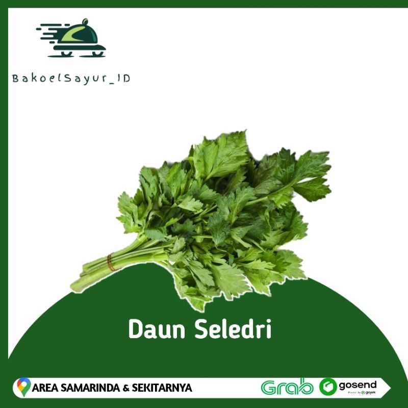 

Daun Sop / Daun Seledri 1 ikat