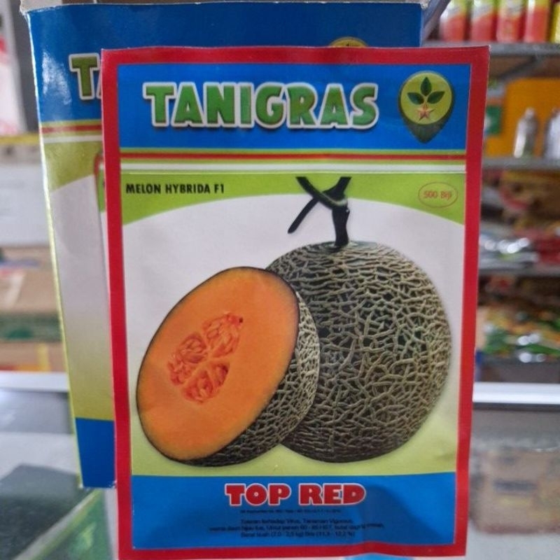 Benih melon TOP RED F1 original Tanigras