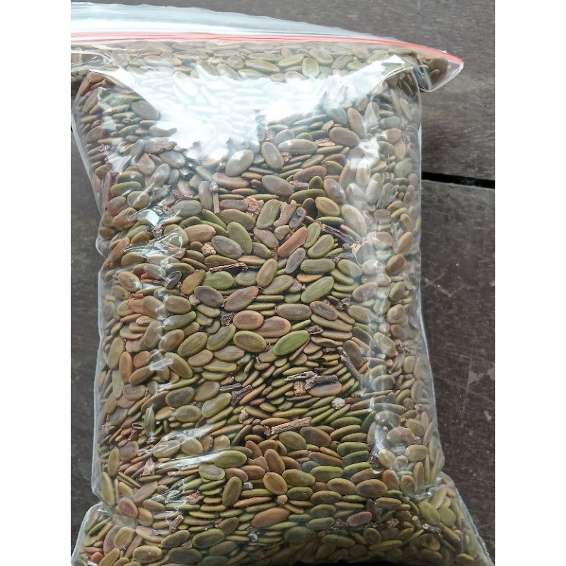 biji sengon laut super/ albasia