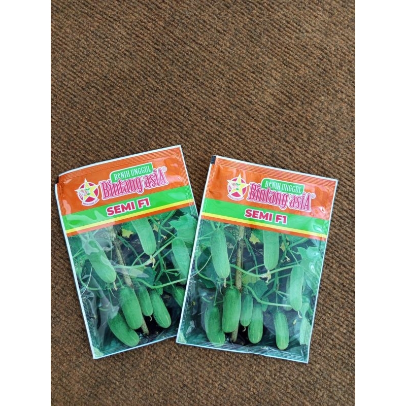 Benih timun bintang asia semi f1 20gram / timun baby