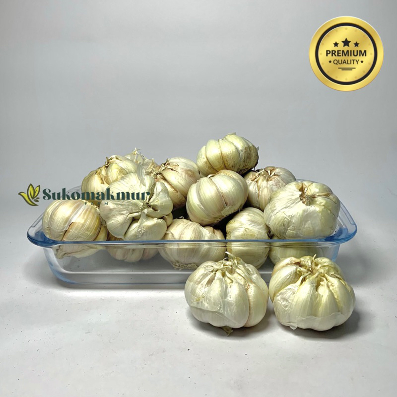 

Bawang Putih Termurah Honan
