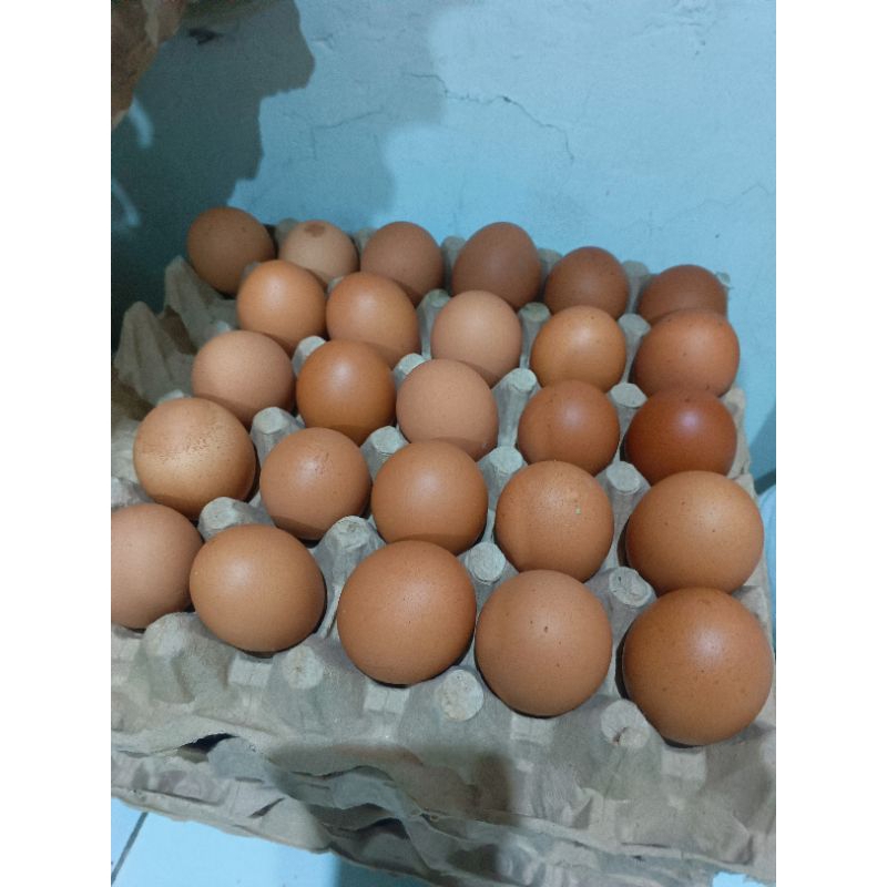 

TELUR ayam 1kg