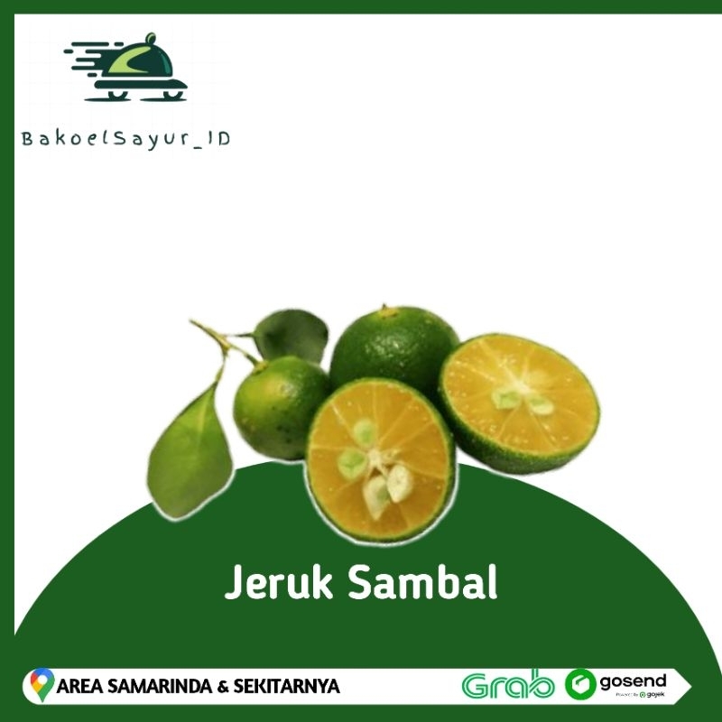 

Jeruk Sambal 1 ikat