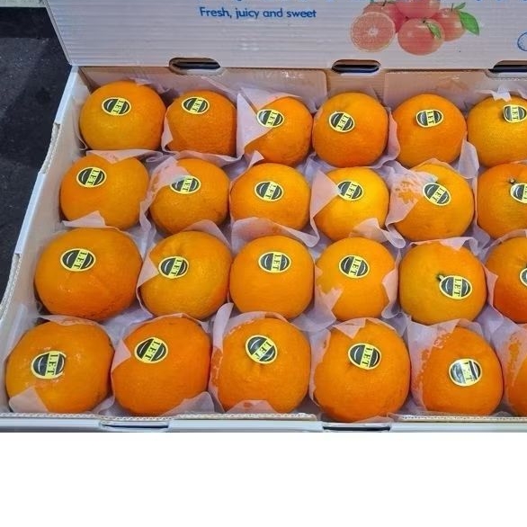 

BUAH JERUK MANDARIN WOGAN FRESH 1 KILO