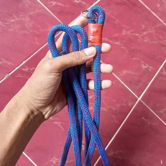 TALI KAMBING KONTES PE JERABANG ETAWA BISA UNTUK SAPI BIRU HITAM