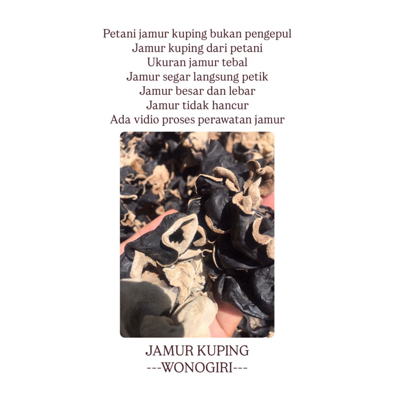 

jamur kuping kering 1000gr