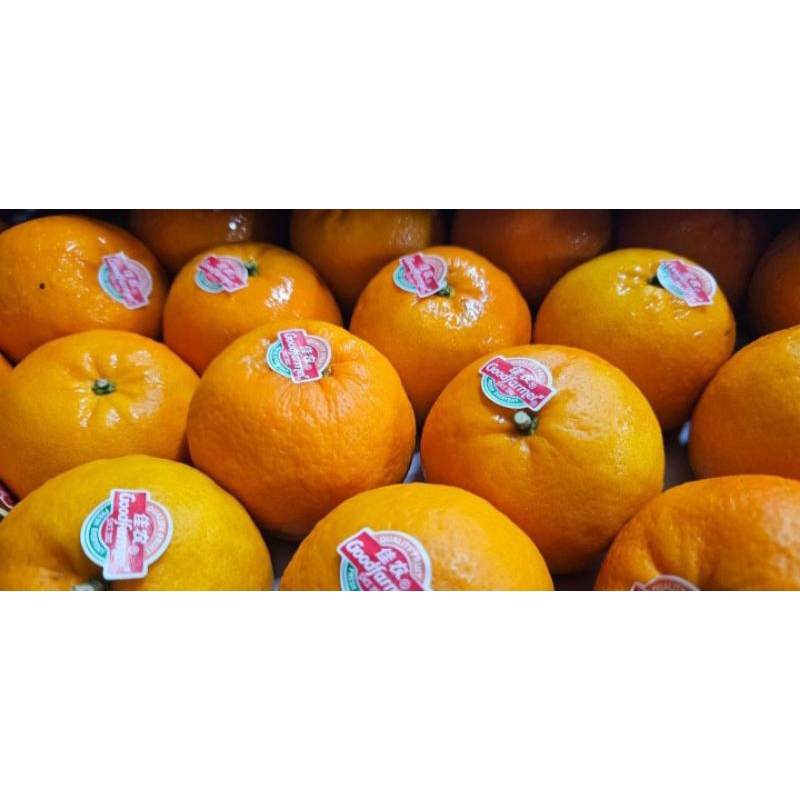 

JERUK WOGAM GOODFARMER MANIS FULL HARGA PER 1KG