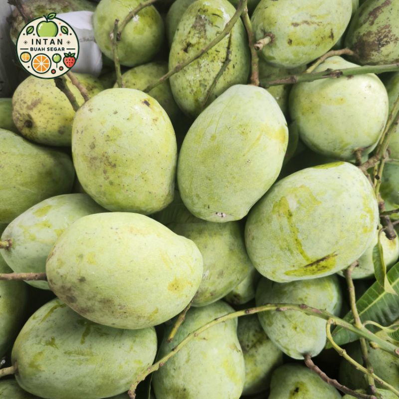 Buah Mangga Indramayu 1 Kg Cengkir Request mentah/matang ( Cocok Juga Buat Bumil )