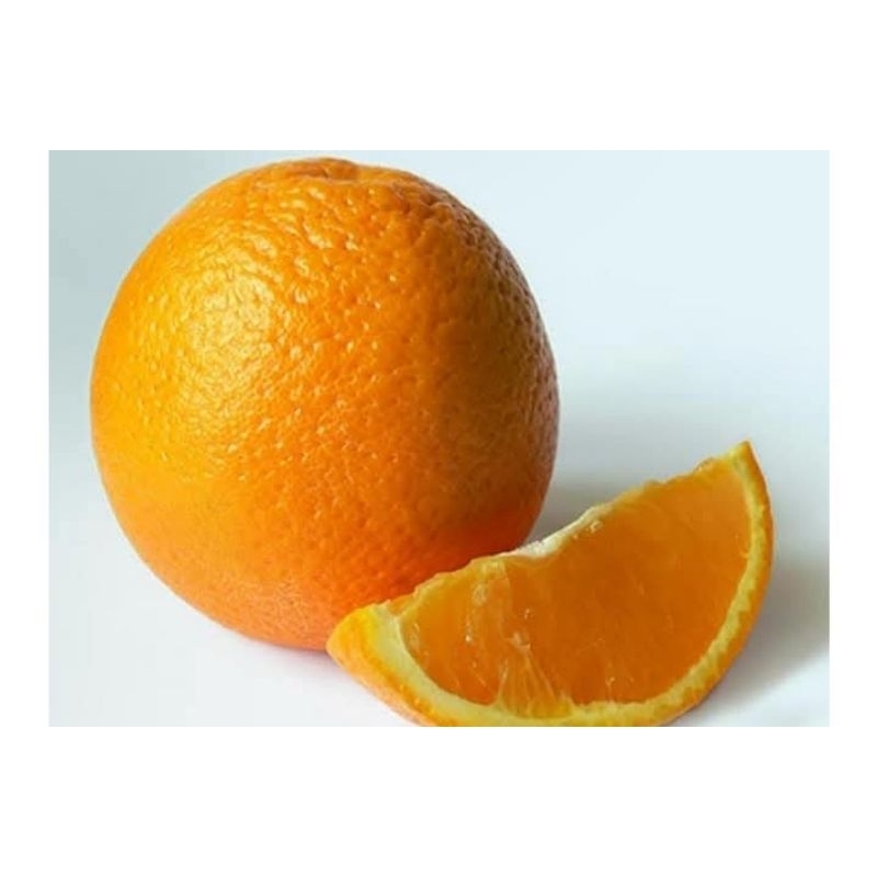 

BIBIT JERUK SUNKIST BERBUAH