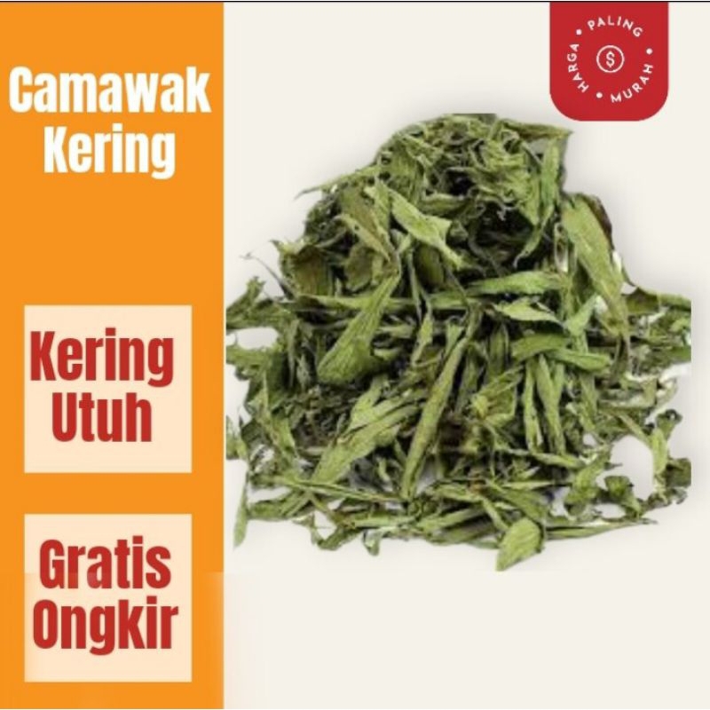 

Daun camawak atau tempuyang kering 500g