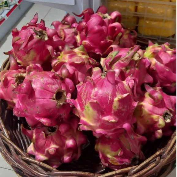 

Buah Naga merah|buah segar bandung|nuri fruits|buah bandung|buah naga|buah naga bandung