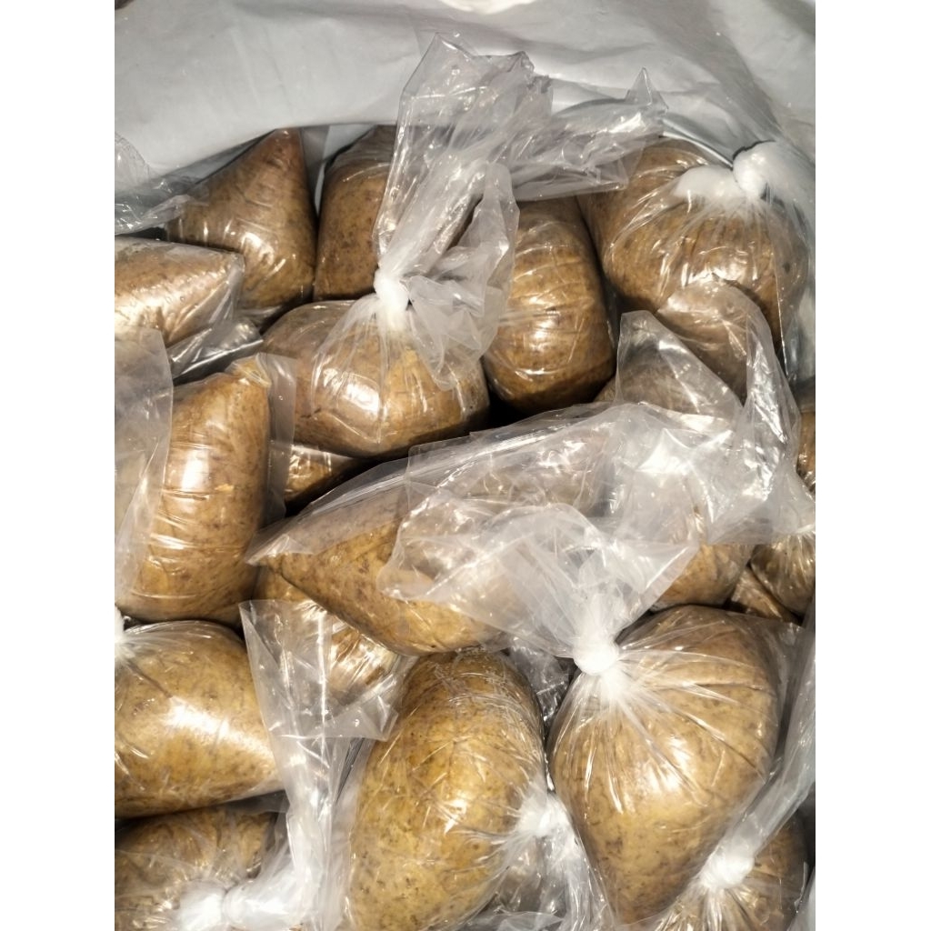 Umpan Jagung Ikan mas