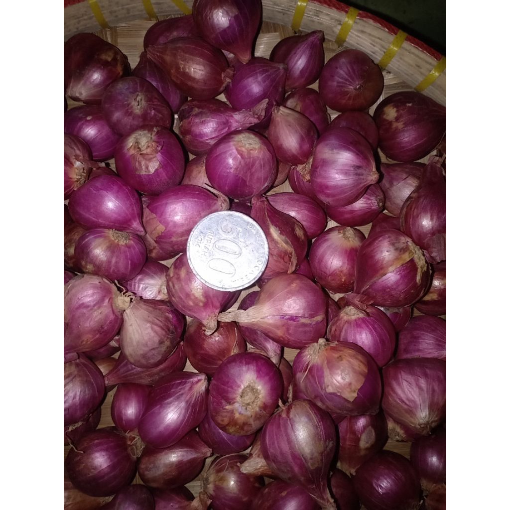 

Bawang Merah Super Bima