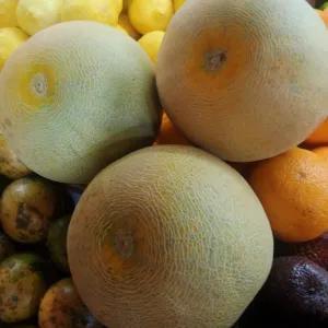 

Melon